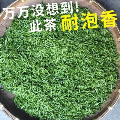 会明春日照高山绿茶2024新茶春茶500g无农害山东炒青茶叶散装浓香