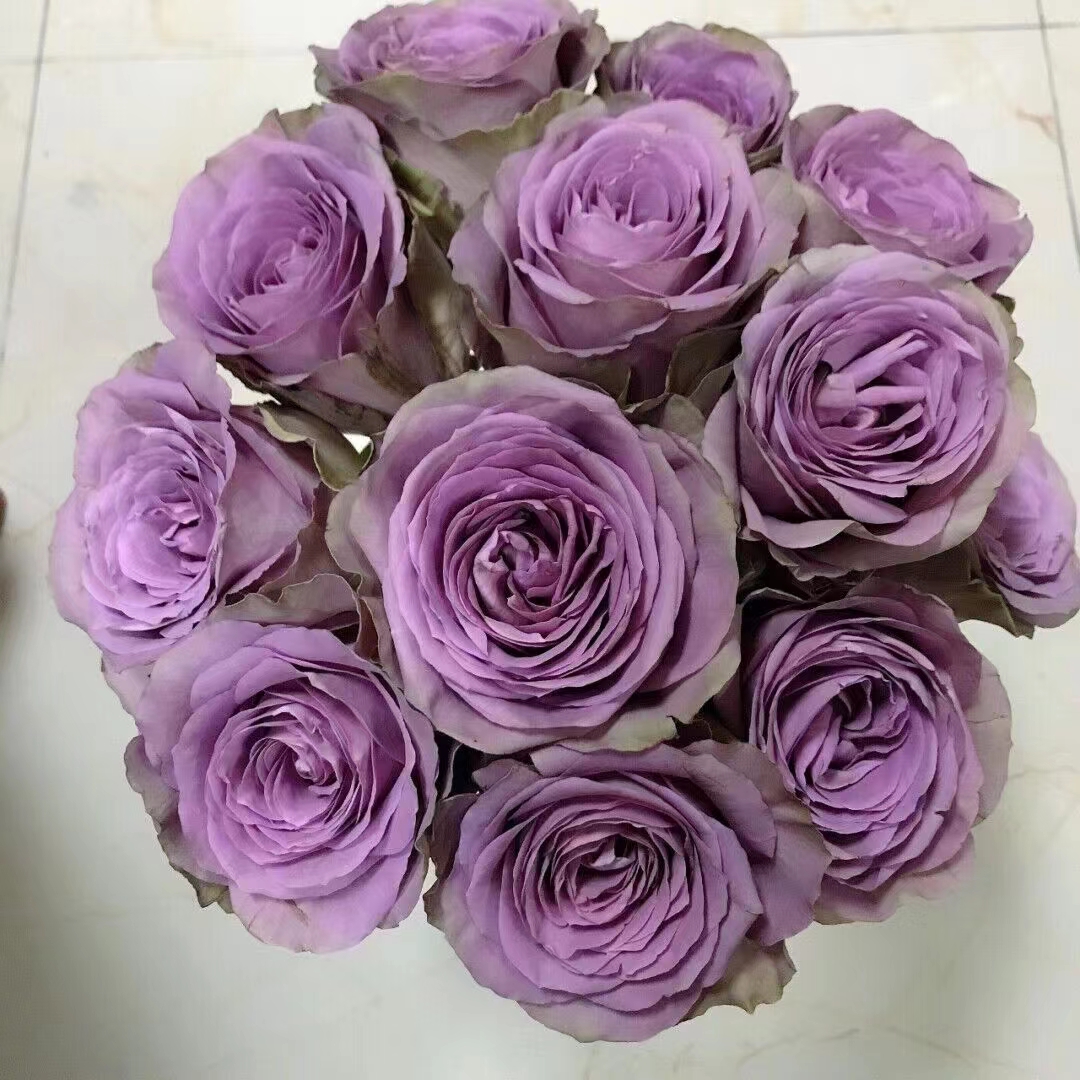 新品紫禁城罗马新娘切