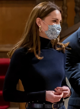 HOBBS经典高领长袖羊毛毛衣针织衫美利奴经典凯特王妃款修身气质