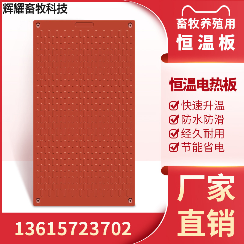 养猪设备保温板电热板保育床加热板保育猪用小猪母猪