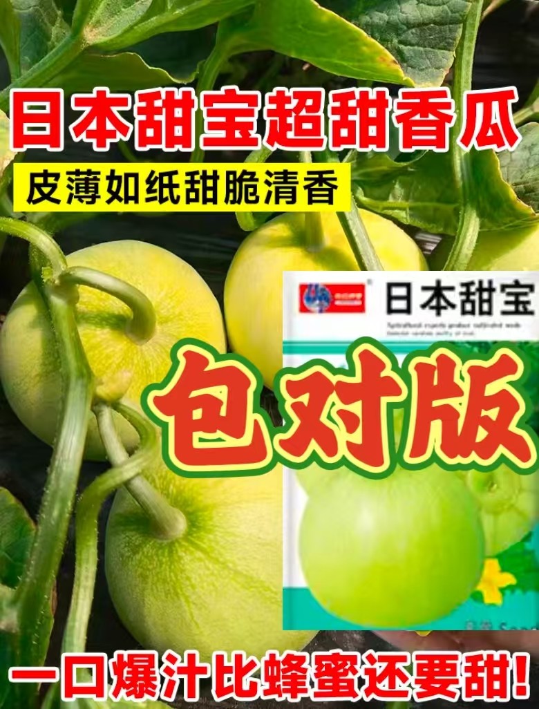 嫁接甜宝香瓜苗羊角蜜甜瓜苗茄子苗黄秋葵甜掉牙冰糖子盆栽地栽,农用物资,水果种子/种苗,淘宝优惠券,粉丝福利购,淘宝优惠卷