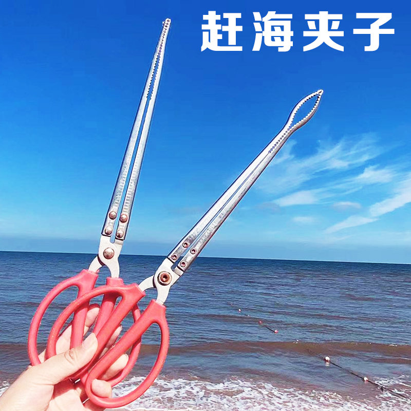 赶海用的夹子抓螃蟹捡海螺抬贝