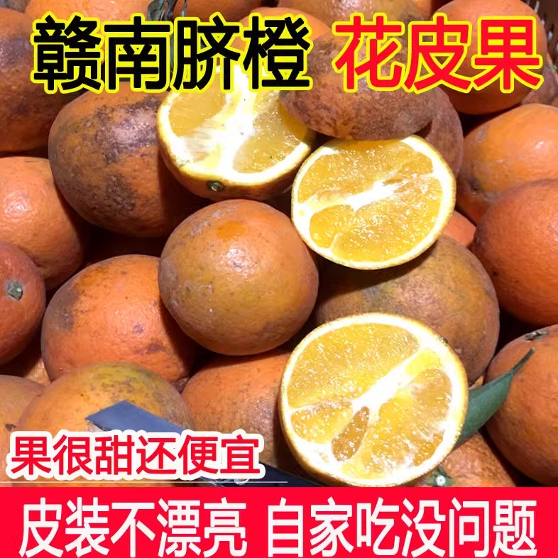 正宗江西赣南脐橙花皮果麻斑点丑橙新鲜水果榨汁5斤10斤现摘包邮