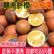 正宗江西赣南脐橙花皮果麻斑点丑橙新鲜水果榨汁5斤10斤现摘 包邮