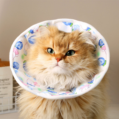 伊丽莎白圈宠物猫咪可调节项圈小中大狗狗防舔咬围脖绝育术后用品
