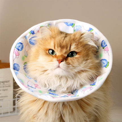 伊丽莎白圈宠物猫咪可调节项圈小中大狗狗防舔咬围脖绝育术后用品