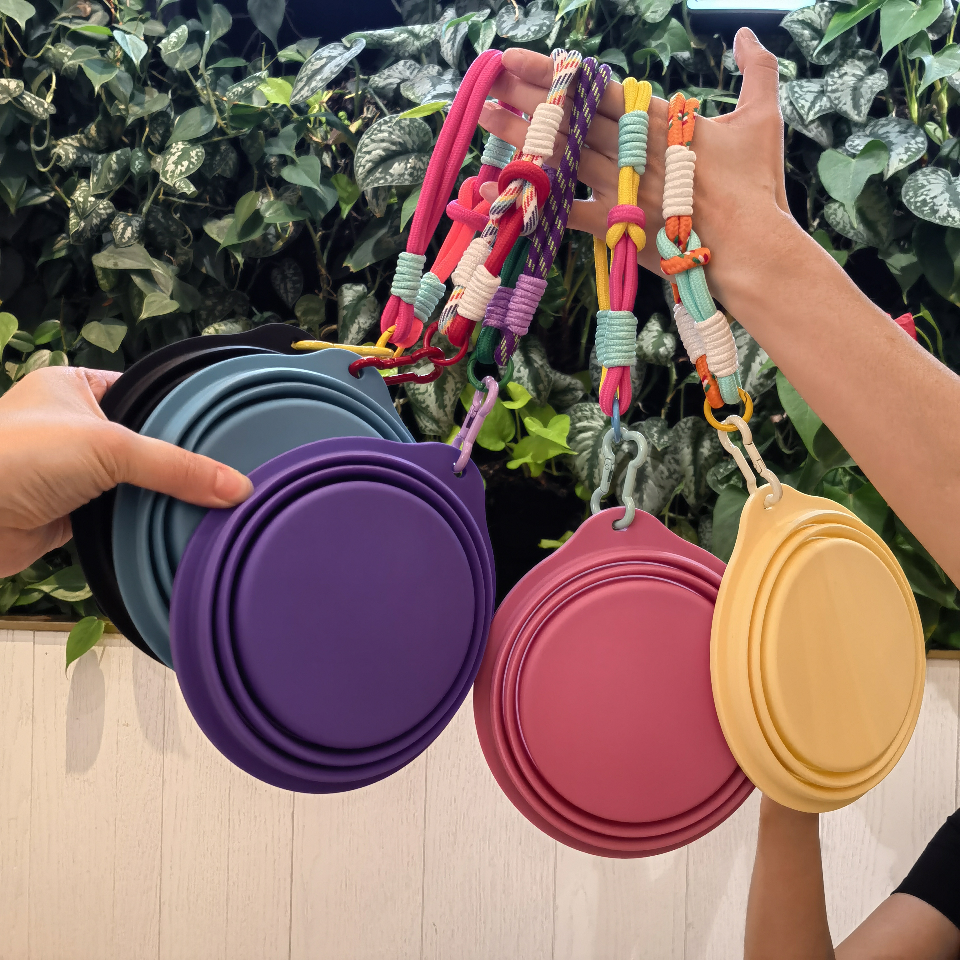 马卡龙硅胶折叠户外碗狗狗便携喝水碗宠物外出猫犬露营壶随行杯