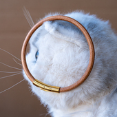 宠物项圈定制猫咪狗狗铭牌挂绳防丢失AirTag不可调节真皮项链装 饰