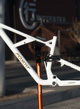 24.5款FOXCAT山猫170软尾车架enduro大行程山地车车架