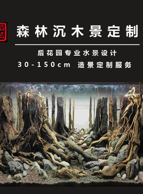套餐青龙石后花园雨林定制草缸
