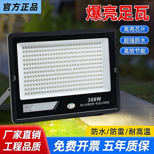 户外防水强光超亮LED投光灯