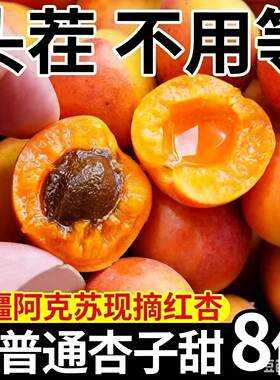 新疆小红杏精选顺丰速发