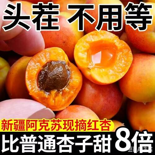 新疆小红杏精选顺丰速发