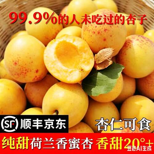 顺丰精品正宗荷兰香蜜杏纯甜杏子应季新鲜水果现摘孕妇大黄杏SS