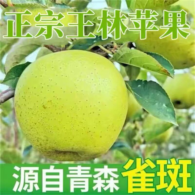 正宗河北青森王林苹果水蜜桃应当季新鲜孕妇水果阿克苏脆甜整箱LL