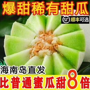 海南玉菇甜瓜10斤新鲜水果应当季香瓜蜜瓜冰淇淋脆甜密瓜整箱SS