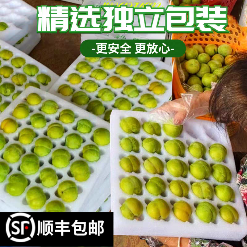 顺丰大果清脆脱骨李子现货新鲜孕妇水果当季脆甜酸非贵州四川LL