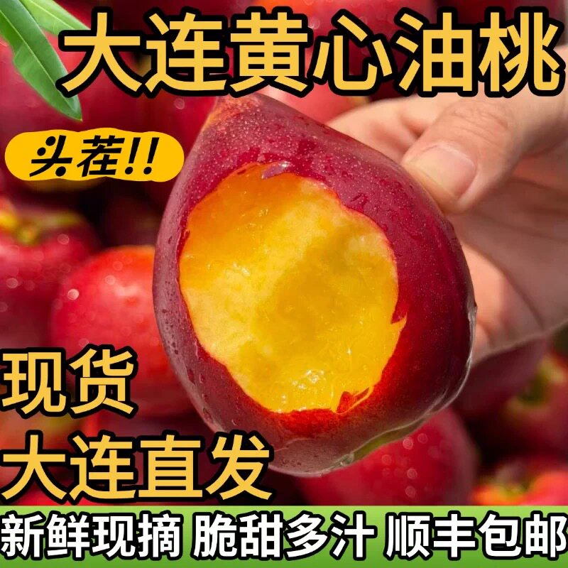 大连黄心红油桃大果现摘