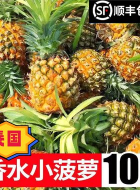 香水小菠萝泰国品种现货顺丰