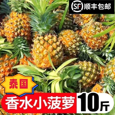 香水小菠萝泰国品种现货顺丰