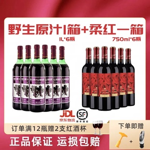 通天野生原汁山葡萄酒通天柔红山葡萄酒12瓶甜红组合装 低度甜口