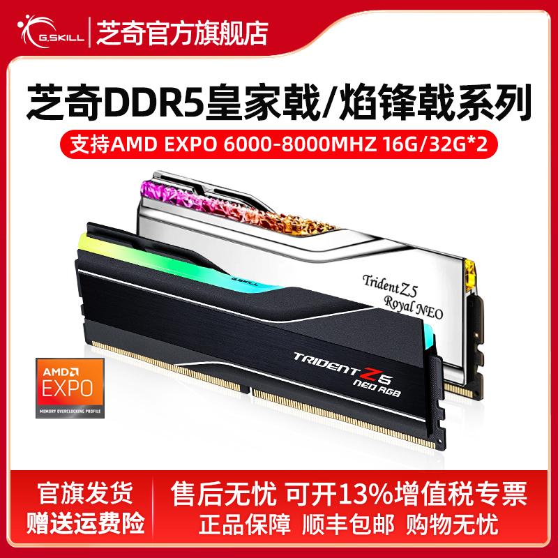 芝奇内存条gskillddr5台式机