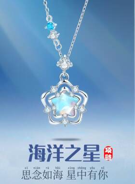 海洋之星银项链轻奢生日礼物女生送女友闺蜜520情人节高级感实用