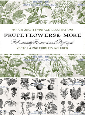 A2619矢量70张复古版画风格植物水果线稿插画 AI设计素材+png