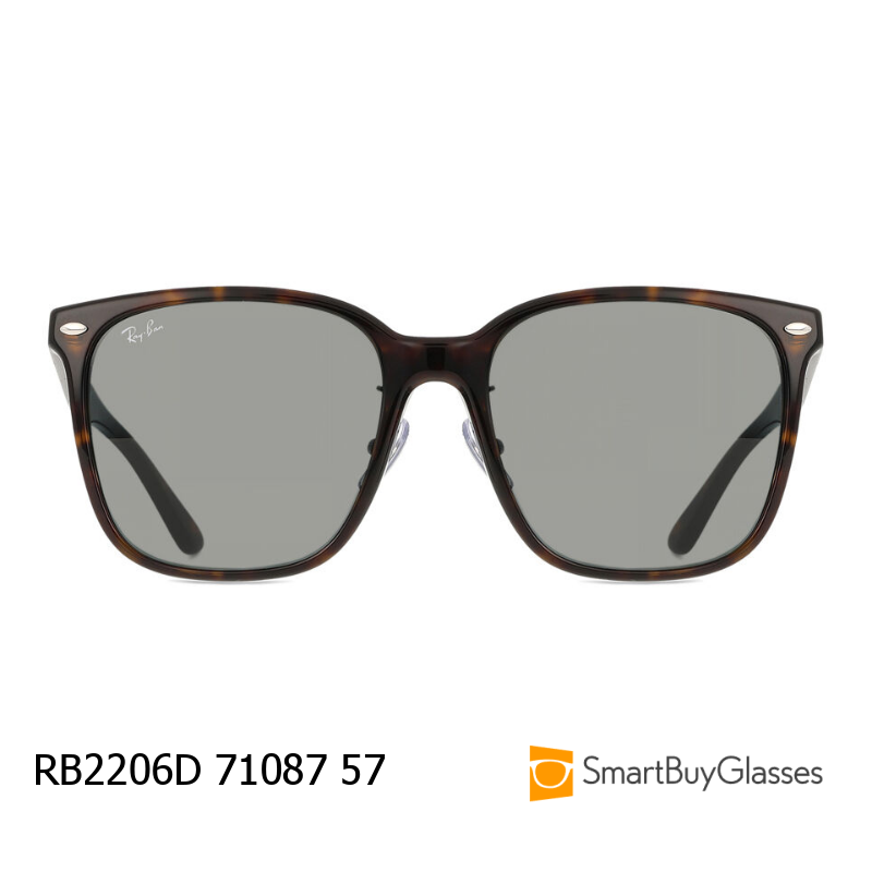 rayban墨镜雷朋男女大框复古玳瑁太阳眼镜 RB2206D