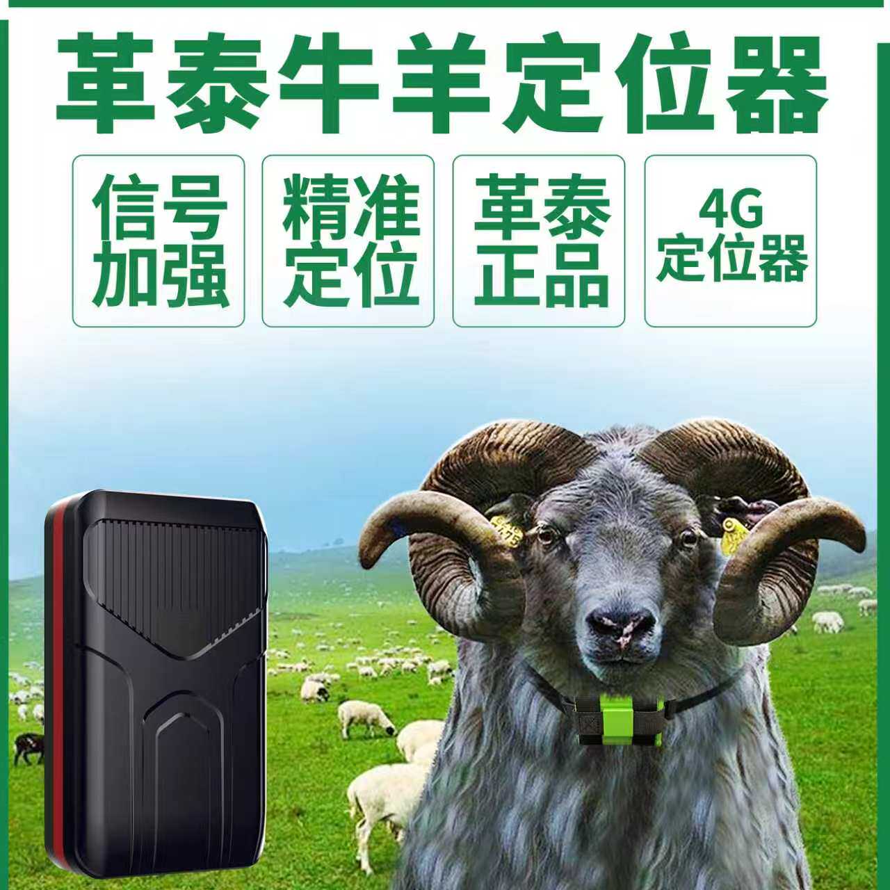 革泰牛羊定位器gps卫星北斗山区放牧专用防丢牛马追踪神神州10号