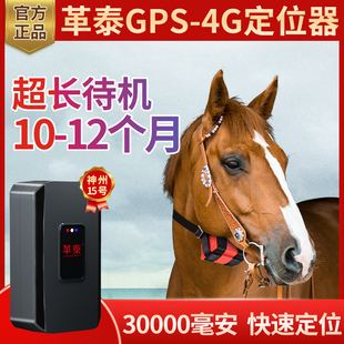 革泰4G牛羊定位器卫星北斗gps动物山区放牧专用防丢追踪神器15号