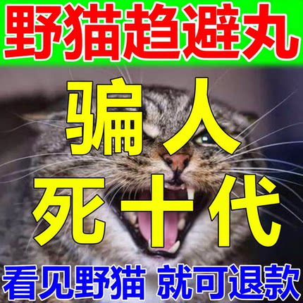 驱猫神器室内外长效强力除赶汽车防野猫气味专用特效药专用药神器