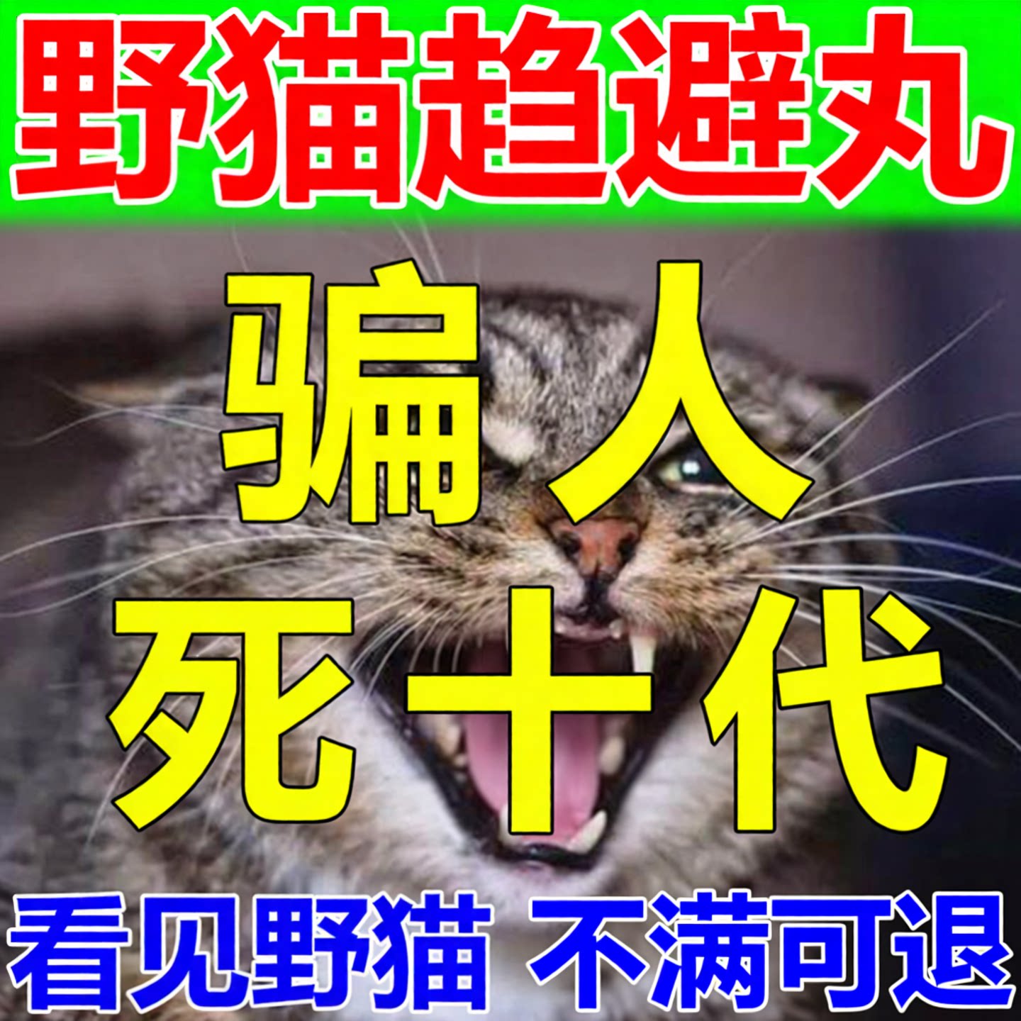 【驱猫神器】室内外防野猫图片