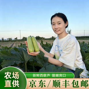 京东顺丰包邮自种新鲜现摘西葫芦小瓜嫩菜瓜茭瓜时令蔬菜宝宝辅食