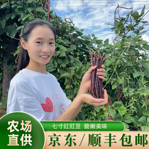 新鲜现摘红豇豆软糯清香