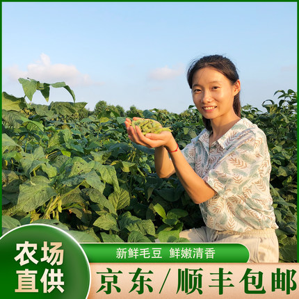 京东顺丰包邮苏北农村新鲜现摘毛豆角青毛豆带壳生毛豆荚绿豆荚