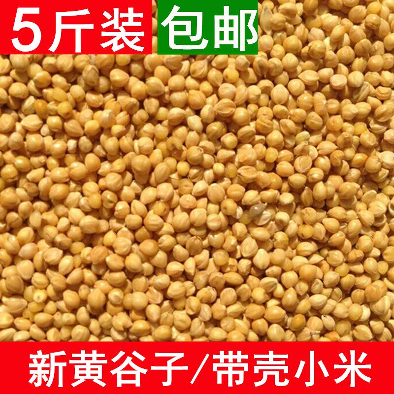 5斤新黄谷子带壳小米虎皮牡丹玄凤鹦鹉文鸟五色黍子鸟粮鸟食饲料