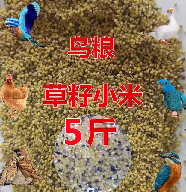 布施草籽米鸟食鸟粮去壳谷子小米喂鸟鸡鸭鹅饲料碎米八哥鹩哥5斤