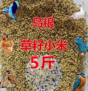 布施草籽米鸟食鸟粮去壳谷子小米喂鸟鸡鸭鹅饲料碎米八哥鹩哥5斤