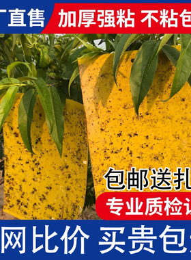 双面粘虫板黄板诱虫板贴黄色飞虫小黑飞沾果蝇诱捕器大棚蓟马蓝板