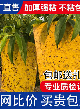 双面粘虫板黄板果蝇诱捕器大棚