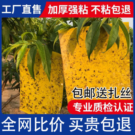 双面粘虫板黄板诱虫板贴黄色飞虫小黑飞沾果蝇诱捕器大棚蓟马蓝板