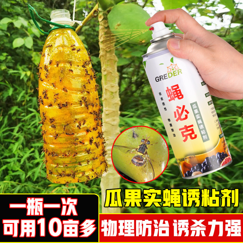 蝇必克瓜果实蝇诱粘剂昆虫诱捕剂杀果蝇药粘虫板针蜂引诱剂诱捕器