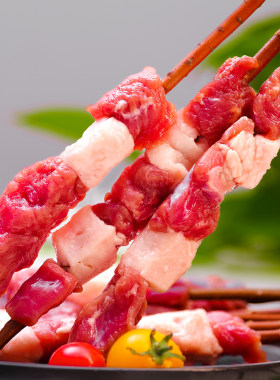 草原鑫河 红柳羊肉串 500g*2 (20串)