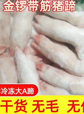 冷冻生鲜猪蹄生鲜大猪蹄生鲜猪蹄生鲜金锣大A蹄混蹄猪蹄生鲜10斤