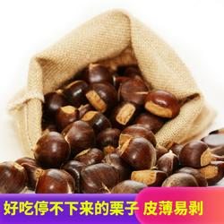 2025迁西板栗生新鲜京东燕山长城野生遵化油栗甘栗子河北特产五斤