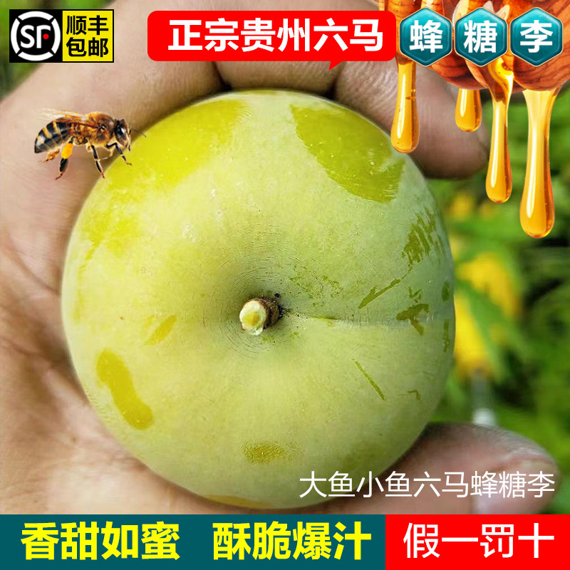正宗贵州六马蜂糖李子孕妇新鲜水果原产地脆甜整箱安顺镇宁顺丰