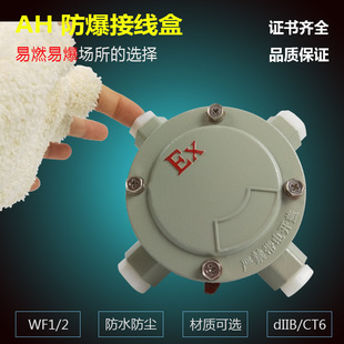AH防爆接线盒4分6分1寸IIB级分线盒铸铝直二通三通工厂直销