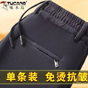 啄木鸟灯芯绒卫裤男2025春秋新款宽松大码直筒休闲运动长裤夏季