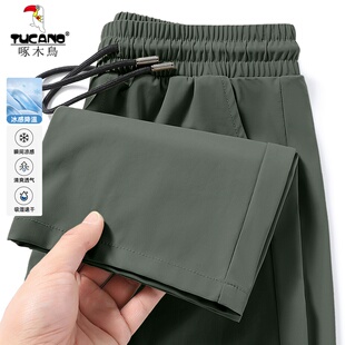 宽松直筒速干运动休闲裤 男薄款 冰丝弹力裤 啄木鸟清仓捡漏专柜夏季
